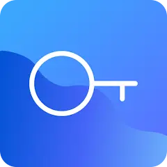 bitvpn 1